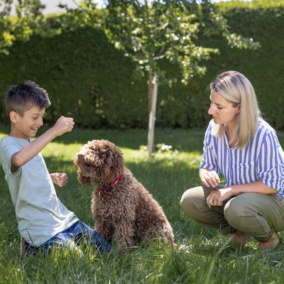 Tierisch wichtige Hilfe