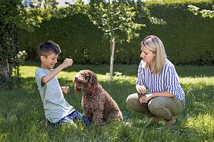 Tierisch wichtige Hilfe